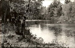 View Of The Black River Postcard