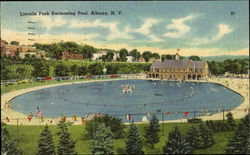 Lincoln Park Swimming Pool Albany, NY Postcard Postcard