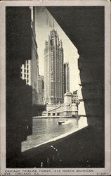 Chicago Tribune Tower, 435 North Michigan Ave. Illinois Postcard Postcard