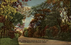 Scenic View Roosevelt Road Postcard