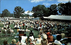 Ponderosa Park, Rte. 45 Salem, OH Postcard Postcard