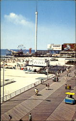 Birds Eye View Of Amusements Postcard