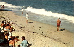 A Section Of The Beach Is Reserved For Surf Fishing Postcard