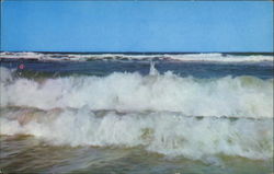 The Rolling Surf Postcard