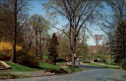 Park Drive Mindowaskin Park, Union County Westfield, NJ Postcard Postcard