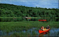 Canoeing At Camp Wapalanne Branchville, NJ Postcard Postcard