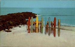 Cape May's Newest Water Sport New Jersey Postcard Postcard