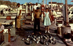 Fishing Is Good At Cape May New Jersey Postcard Postcard