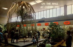 On The Mall At Cherry Hill Shopping Center Postcard