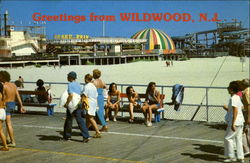 Greetings From Wildwood Postcard