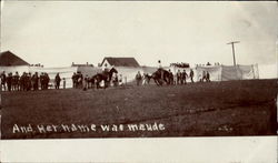 Horses And Her Name Was Maude Rodeos Postcard Postcard