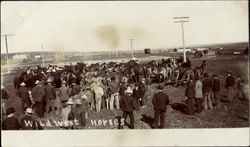 Wild West Horses Postcard