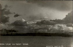 Moonlight On Puget Sound Postcard