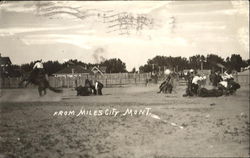 From Miles City Montana Postcard Postcard