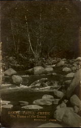 Santa Paula Creek California Postcard Postcard