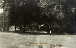 Sulphur Mountain Springs Santa Paula, CA Postcard Postcard