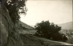 Scenic Path Landscapes Postcard Postcard