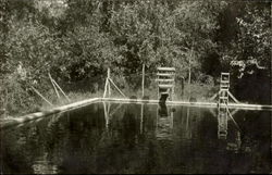 Swimming Pool Postcard