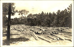 Logging in East Texas Postcard