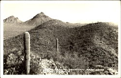 Tucson County Mountain Park Arizona Postcard Postcard