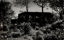 Mountain Station Buildings Postcard Postcard