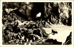 Interior Sea Lion Caves, Oregon Coast Highway 101 Scenic, OR Postcard Postcard