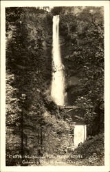 Multnomah Falls, Columbia River Highway Postcard