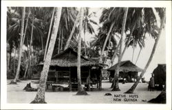 Native Huts New Guinea South Pacific Postcard Postcard