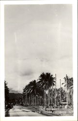 One Of Many New Guinea Highways South Pacific Postcard Postcard