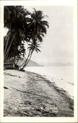 A Beach In New Guinea South Pacific Postcard Postcard