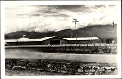 New Guinea Postcard