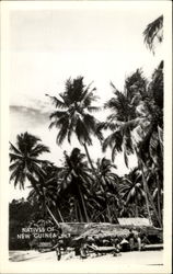 Natives Of New Guinea Postcard