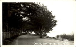 Carmel By-The-Sea California Postcard Postcard