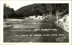 Fly Fishing, Roaring River State Park Postcard