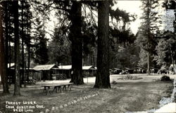 Forest Lodge Postcard