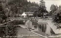 Fish Hatchery Postcard