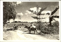 Rural Farmers Postcard