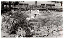 Knott's Berry Farm Buena Park, CA Postcard Postcard