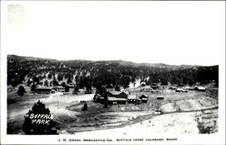 Buffalo Park Buffalo Creek, CO Postcard Postcard