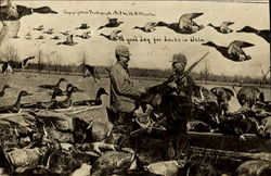 1907 Duck Hunting Oklahoma Exaggeration Postcard Postcard