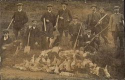 Rabbit Hunting England Postcard