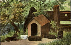 Doghouse Dogs Postcard Postcard