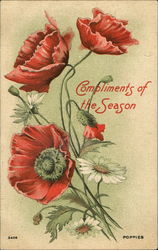 Compliments Of The Season Postcard