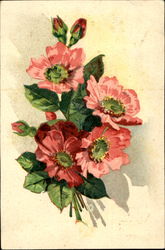 Flowers Postcard