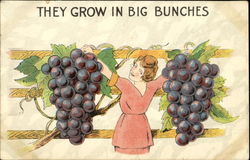 Grapes - They Grow In Big Bunches Exaggeration Postcard Postcard