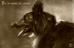 You Do Make Me Laugh Dogs Postcard Postcard