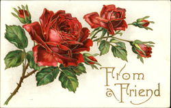 From Friend Postcard