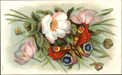 Butterfly, Flowers Postcard