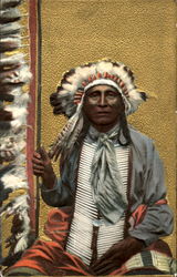 Indian Chief Native Americana Postcard Postcard