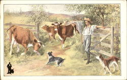 Cows, Pasture, Dogs, Farmers Cows & Cattle Postcard Postcard